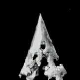 magen david wave.jpg