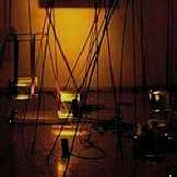 The trees to drop text.jpg