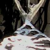 magen david point of view.jpg