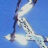 magen david lines & shadows.jpg